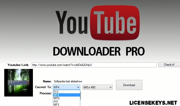 Mp4 To Flv Converter free. download full Version With Crack